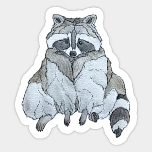 Adorable sitting raccoon Sticker